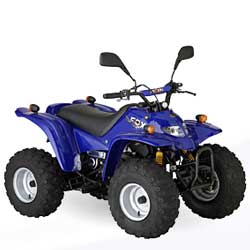 QUAD ROXON FOX