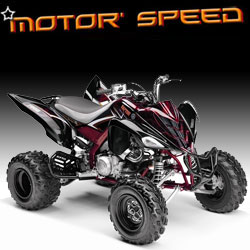 QUAD YAMAHA RAPTOR 2009 NEU