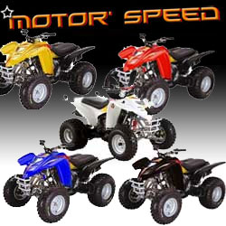 QUAD ADLY RS INTERCEPTOR 